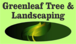 Greenleaf Tree & Landscaping