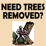 NEED TREES REMOVED?